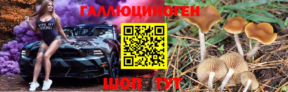 Псилоцибиновые грибы Psilocybe  Вход с VPN  цены   Галлюциногенные грибы Psilocybe  Сосновоборск 